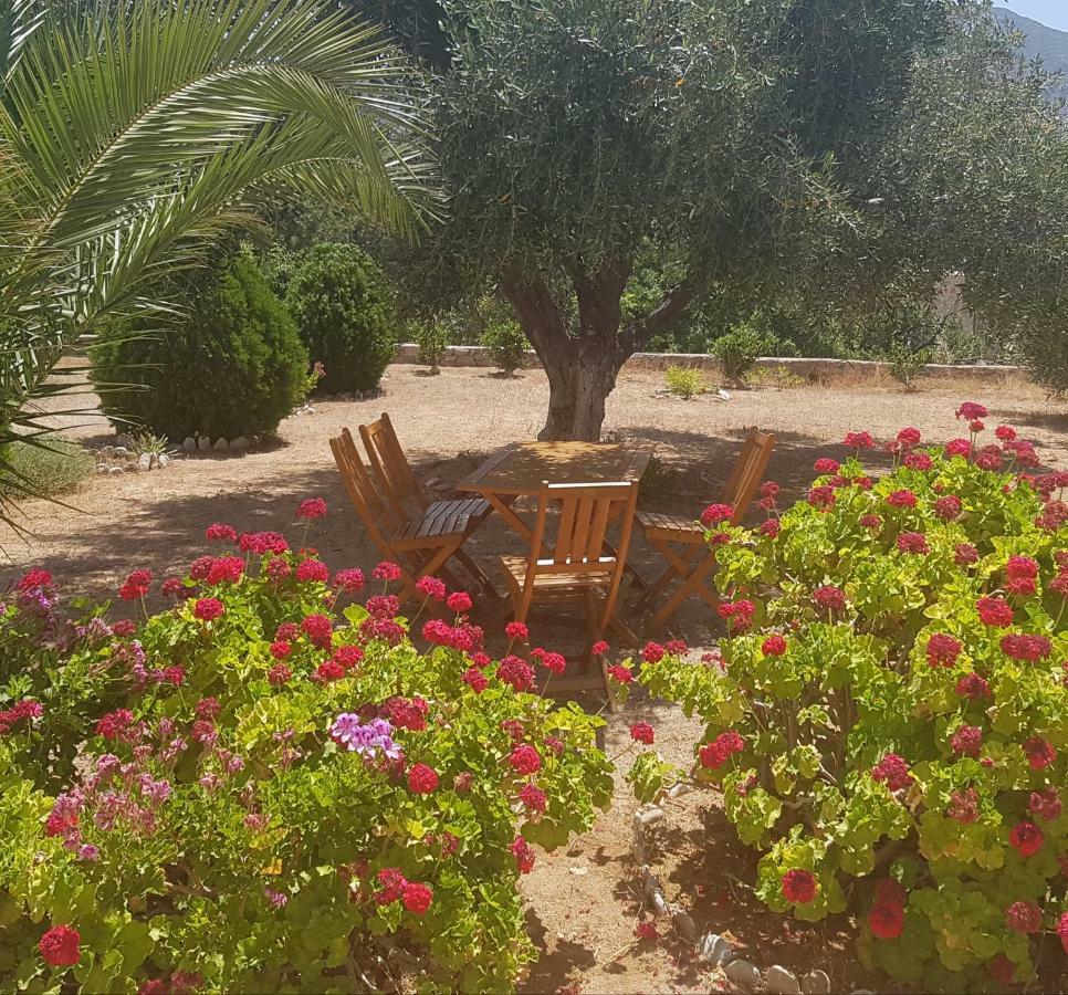 Tilos Fantasy Livadia  Exterior photo
